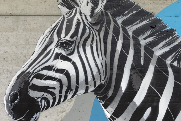 Zebra - Darba - mMoMAm (oua_602106171_image) Zebra - Darba - mMoMAm (oua_602106171_image)