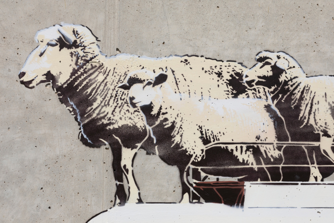 Pecore - Logiano - mMoMAm (oua_602288487_image) Pecore - Logiano - mMoMAm (oua_602288487_image)