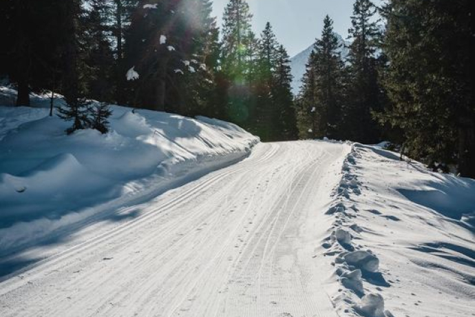 Pista Pian Doss Pista Pian Doss