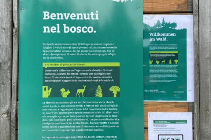 Sentiero “Diversità Forestale” – Un viaggio nella biodiversità alpina di San Bernardino (oua_615567627_image)
