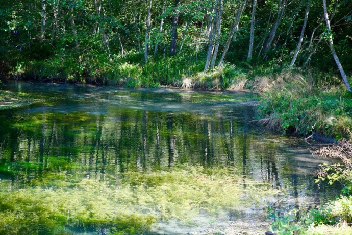 Golena Rosera Lostallo Golena Rosera Lostallo