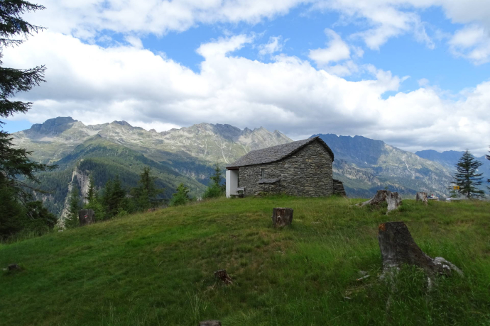 Sant'Antoni de Bolada (oua_78205173_image)