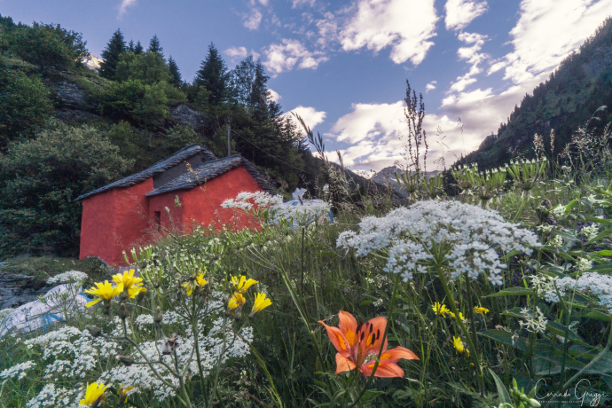 Cappella della Madonna del Sangue e del Rosario (oua_88683498_image) Cappella della Madonna del Sangue e del Rosario (oua_88683498_image)