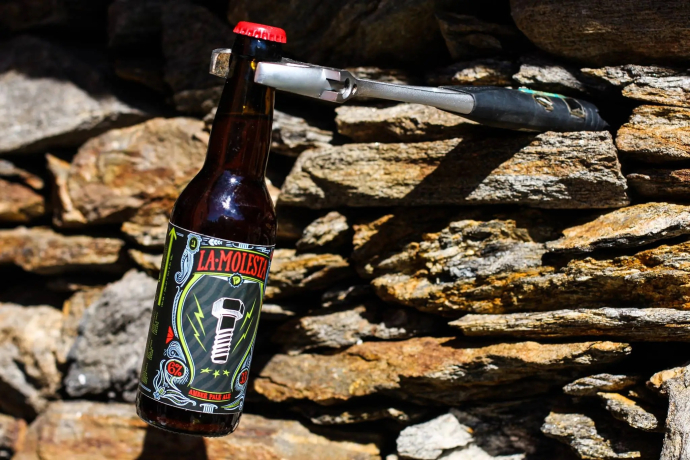 PD Bier (oua_99506505_image) PD Bier (oua_99506505_image)