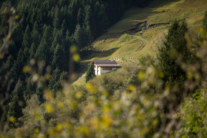 Malga autosufficiente Pundelon, vista dalla strada di accesso