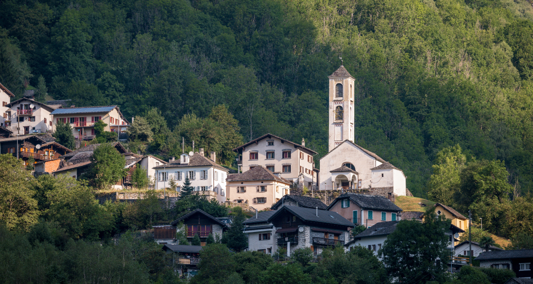 Arvigo