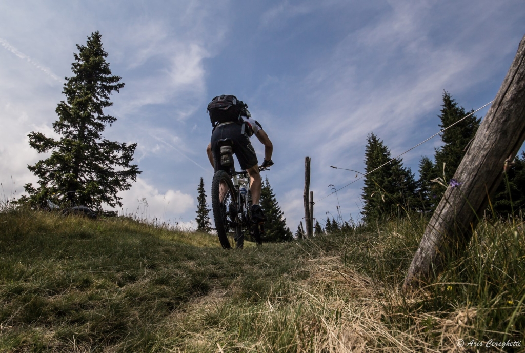 Mountain Bike a San Bernardino