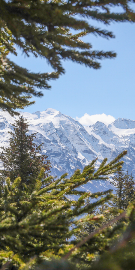 Autunno al sud, nel Moesano L'autunno nel Moesano regala sempre temperature miti, tipiche del Sud delle Alpi