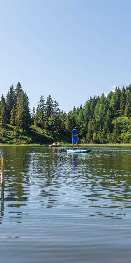 Paddle