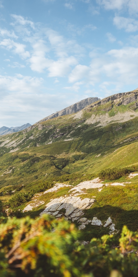 Sentiero Alpino Calanca