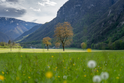 La campagna di Lostallo verso Sorte