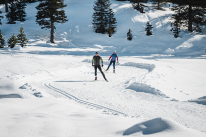 Sci di fondo Sci di fondo