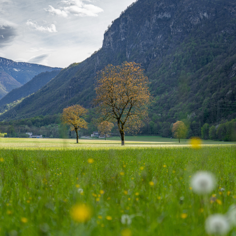 La campagna di Lostallo verso Sorte
