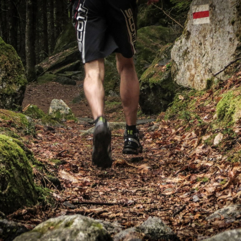Un po' di sano movimento nei boschi del Moesano, il trail running è anche questo