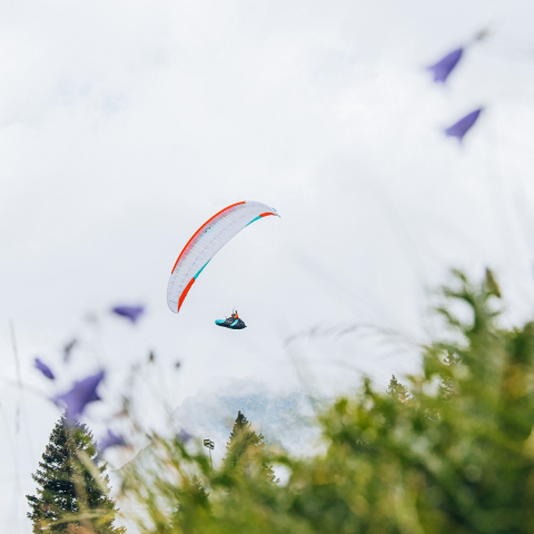 Parapendio tra Mesolcina e Calanca Divertimento nei cieli del Moesano