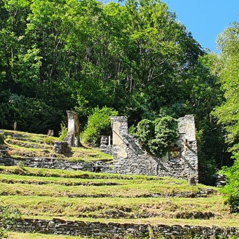 Mulini di Pisela Le rovine dei mulini di Pisela, a Castaneda, in valle Calanca