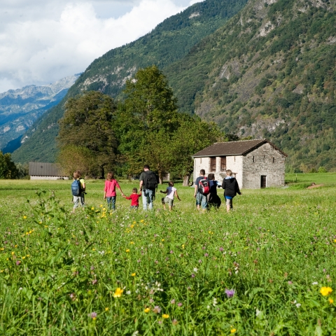 Percorsi tematici La bellezza di conoscere il territorio grazie a pecorsi che ti conducono