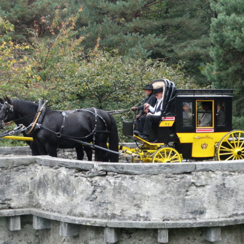carrozza Moesano in carrozza nel Moesano