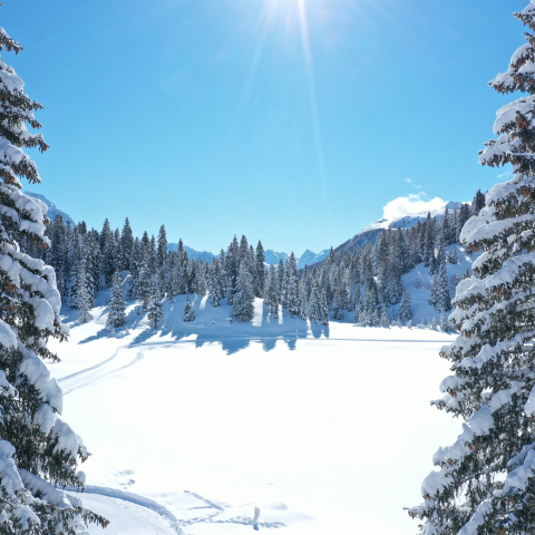 Lago Doss - piste sci nordico
