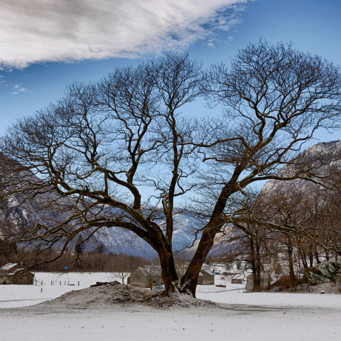 La natura di Lostallo in inverno La natura di Lostallo in inverno