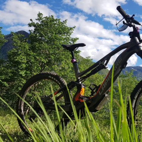 E-bike ebike