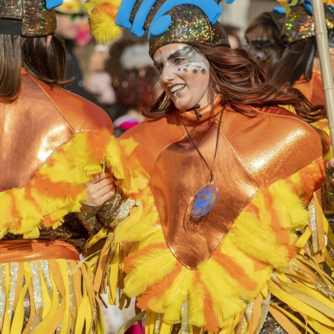 Carnevale Roveredo Carnevale Roveredo