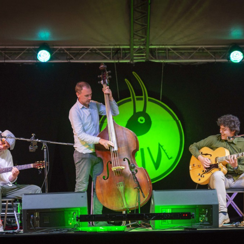 Il palco del Grin Festival vedrà innumerevoli artisti dai quattro angoli del pianeta.