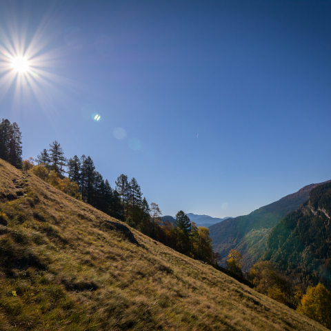 Autunno