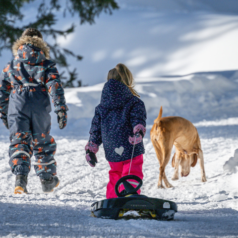 In cammino lungo i sentieri innevati di San Bernardino