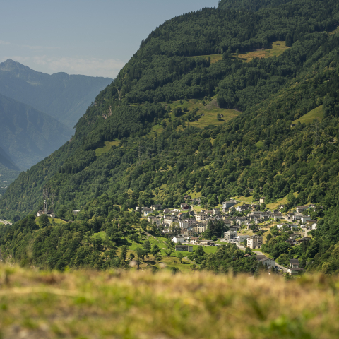 Soazza panorama