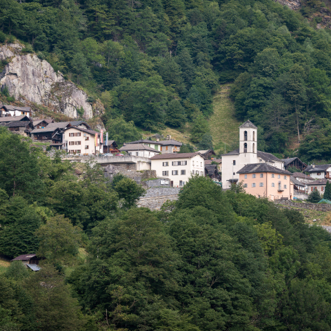 Buseno