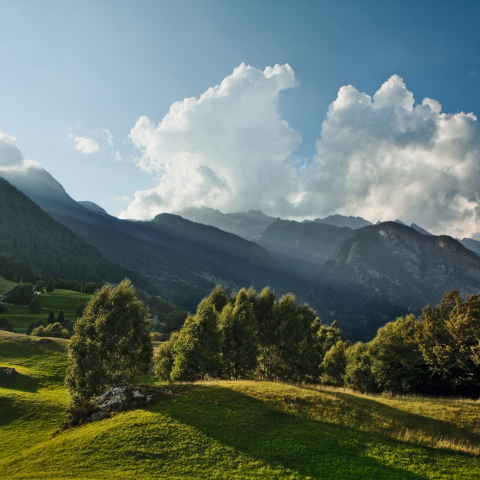 Giova