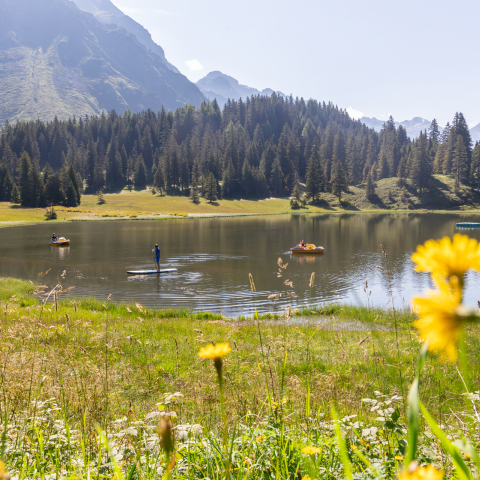Divertimento estivo sul Lagh Doss: stand-up paddle, pedalò e natura pura a 1650 m s.l.m. Persone che praticano stand-up paddle e pedalò sul Lagh Doss circondato dal paesaggio alpino