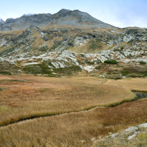 Ente Turistico del Moesano