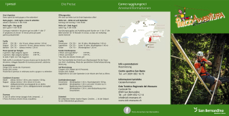 Flyer Parco Avventura 2