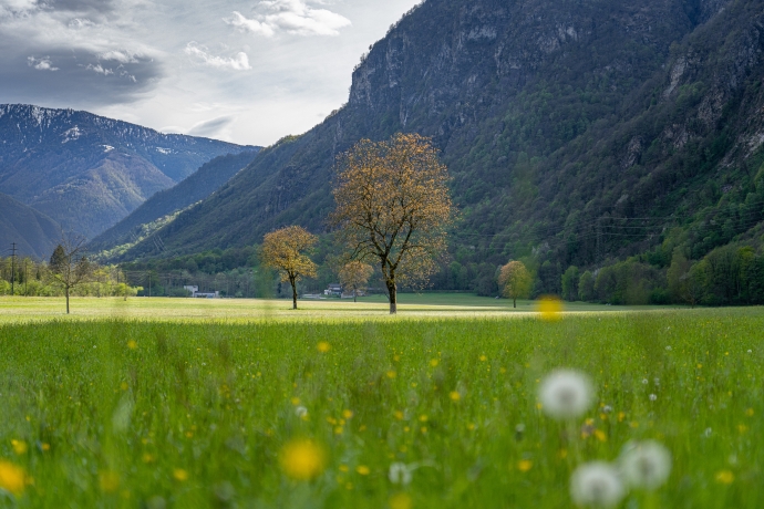 La campagna di Lostallo verso Sorte