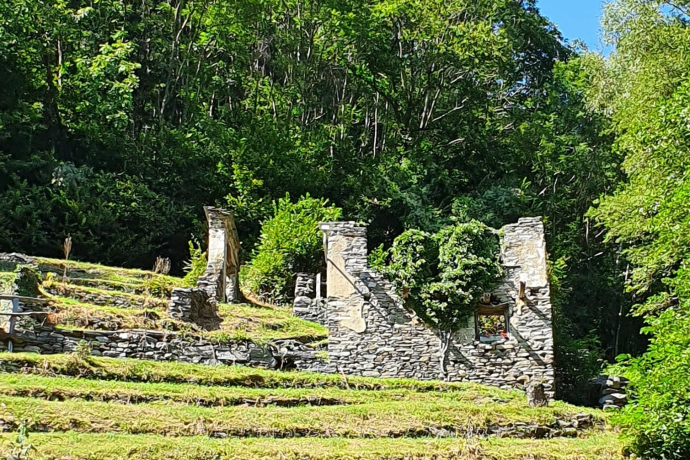 Mulini di Pisela Le rovine dei mulini di Pisela, a Castaneda, in valle Calanca