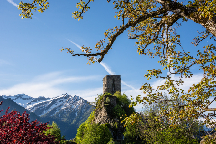 Torre Sta Maria iC con vista sulla Mesolcina