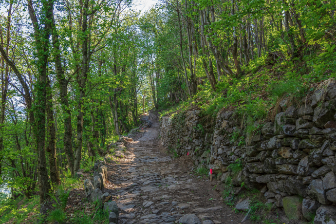 La mulattiera di Verdabbio La mulattiera di Verdabbio