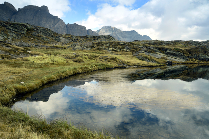 Natura sul passo del San Bernardino Natura sul passo del San Bernardino