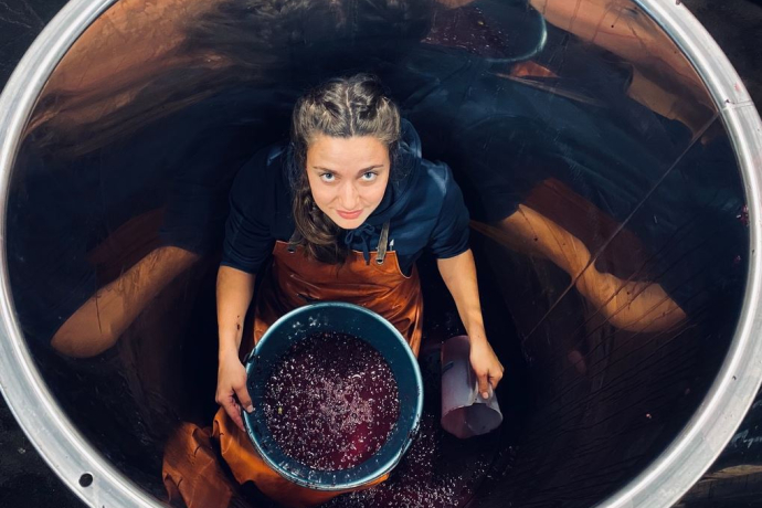 Vino