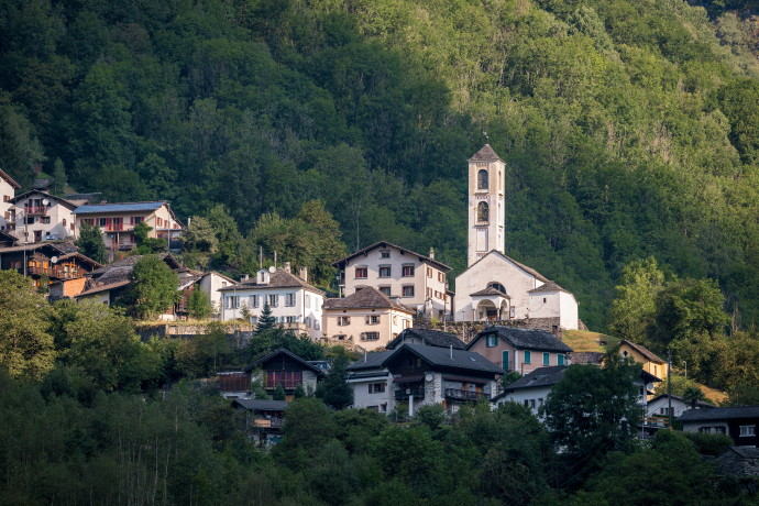 Arvigo