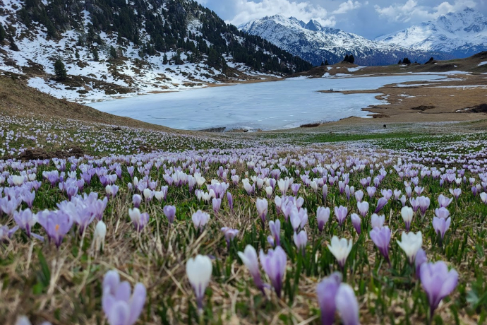Escursione naturalistica