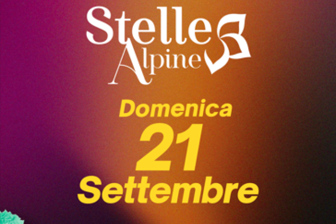 Stelle Alpine