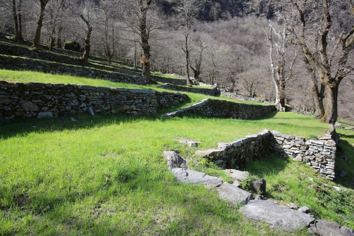 Ente Turistico del Moesano