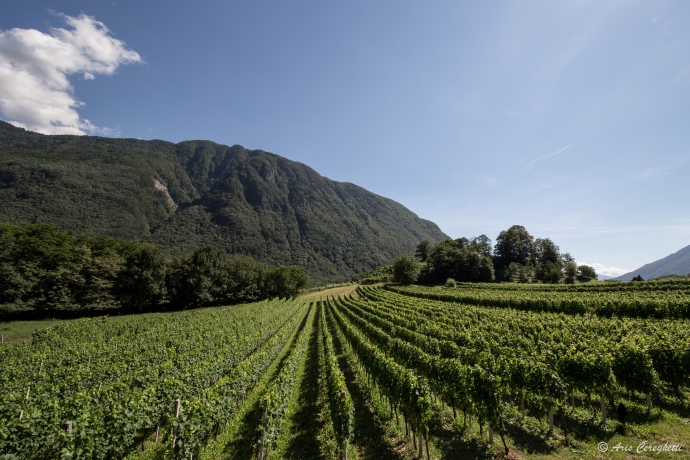 Ente Turistico del Moesano