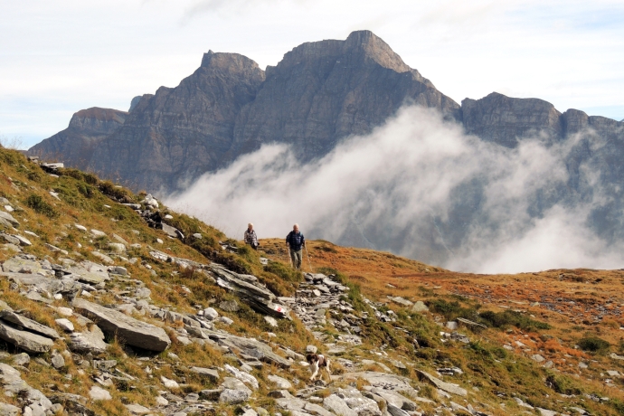 Ente Turistico del Moesano