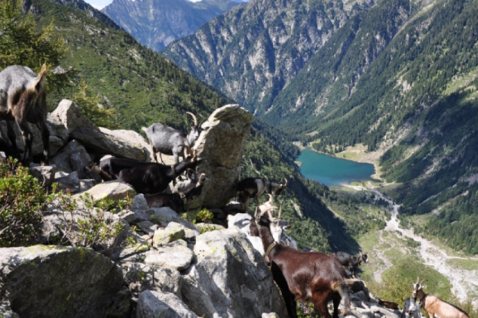 Ente turistico del Moesano