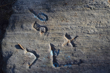 I massi cuppellari di Verdabbio