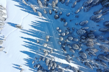 Il piacere dello sci di fondo, a stretto contatto con la natura